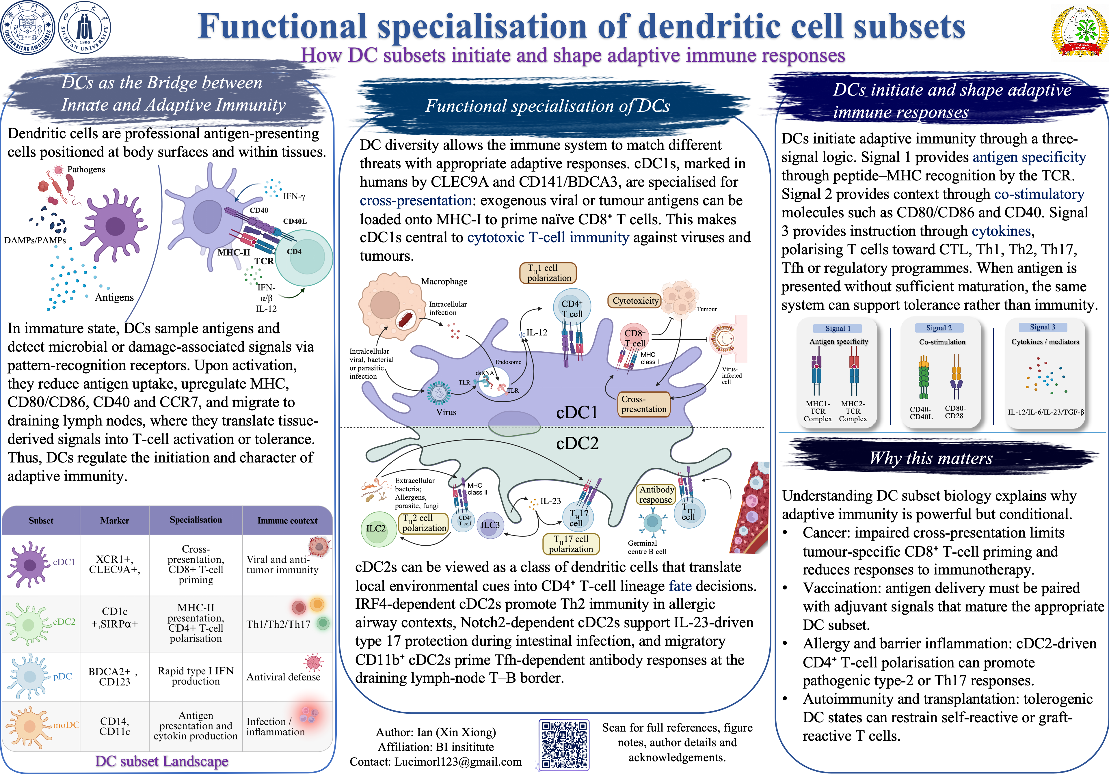 Poster: Functional specialisation of dendritic cell subsets
